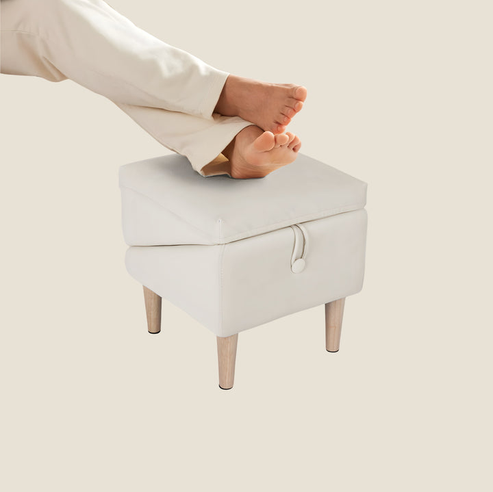 2-in-1 Dog Ramp & Ottoman