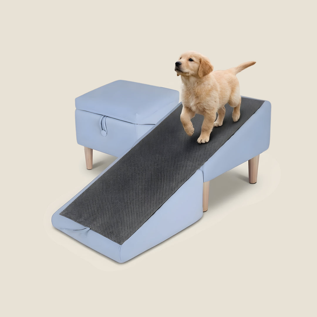 2-in-1 Dog Ramp & Ottoman