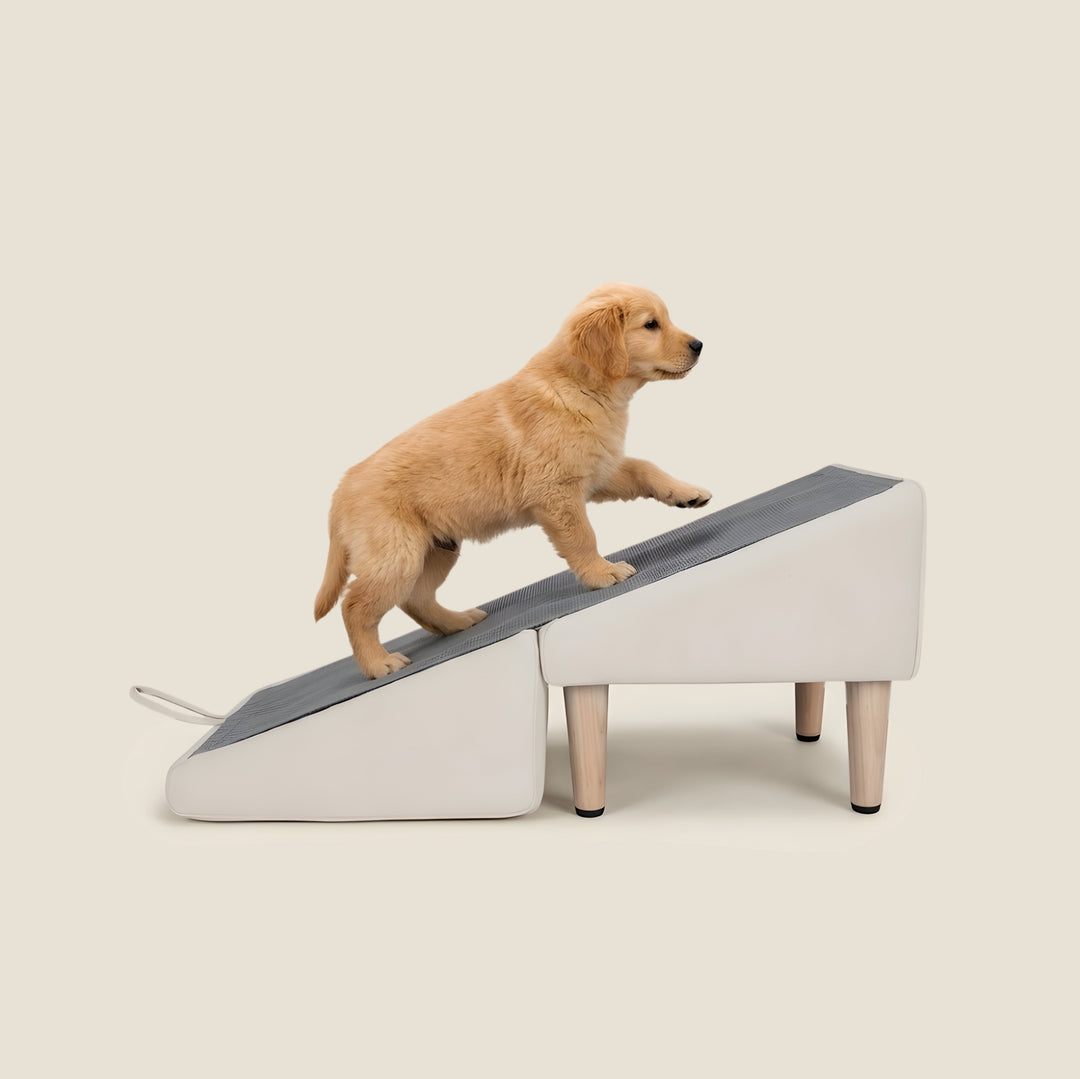 2-in-1 Dog Ramp & Ottoman