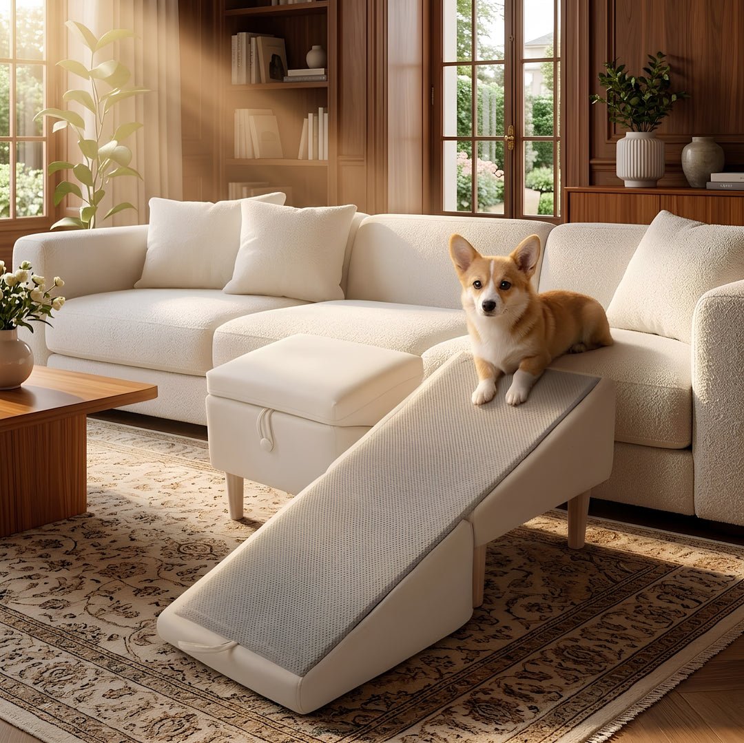 2-in-1 Dog Ramp & Ottoman