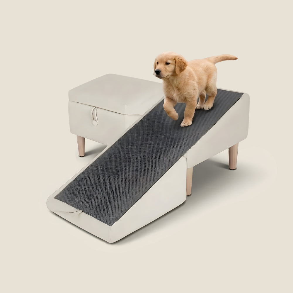 2-in-1 Dog Ramp & Ottoman