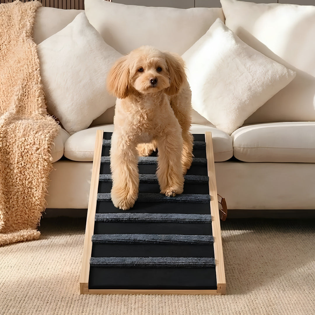 Adjustable Wooden Dog Ramp