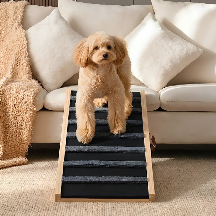Adjustable Wooden Dog Ramp