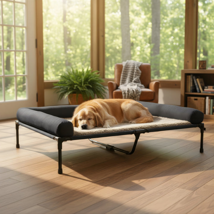 Bolster Elevated Dog Bed