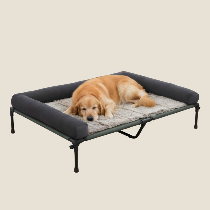 Bolster Elevated Dog Bed