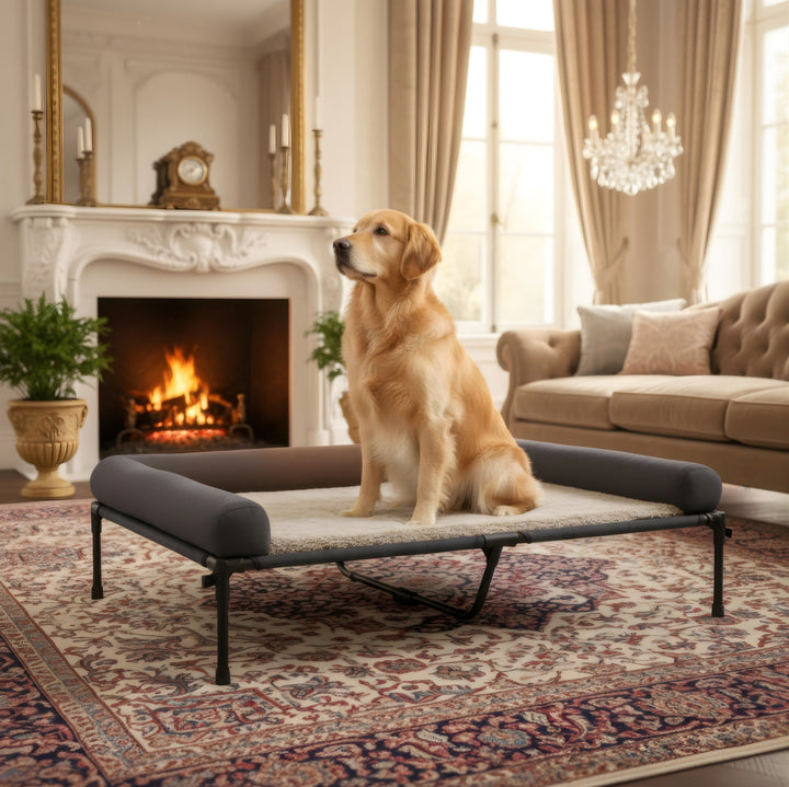 Bolster Elevated Dog Bed