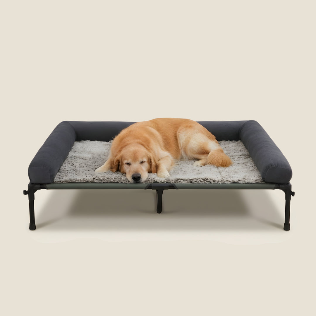 Bolster Elevated Dog Bed