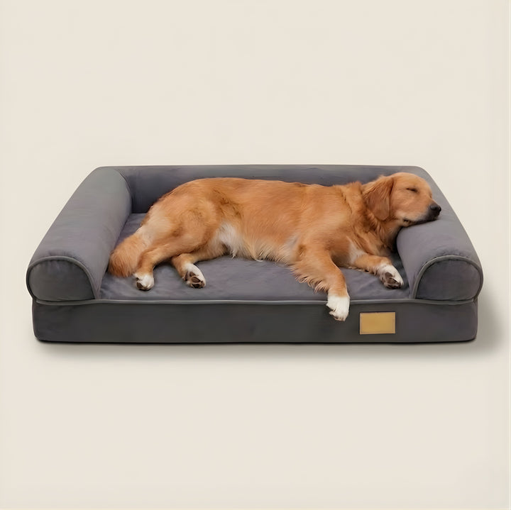 Bolster Orthopedic Dog Bed