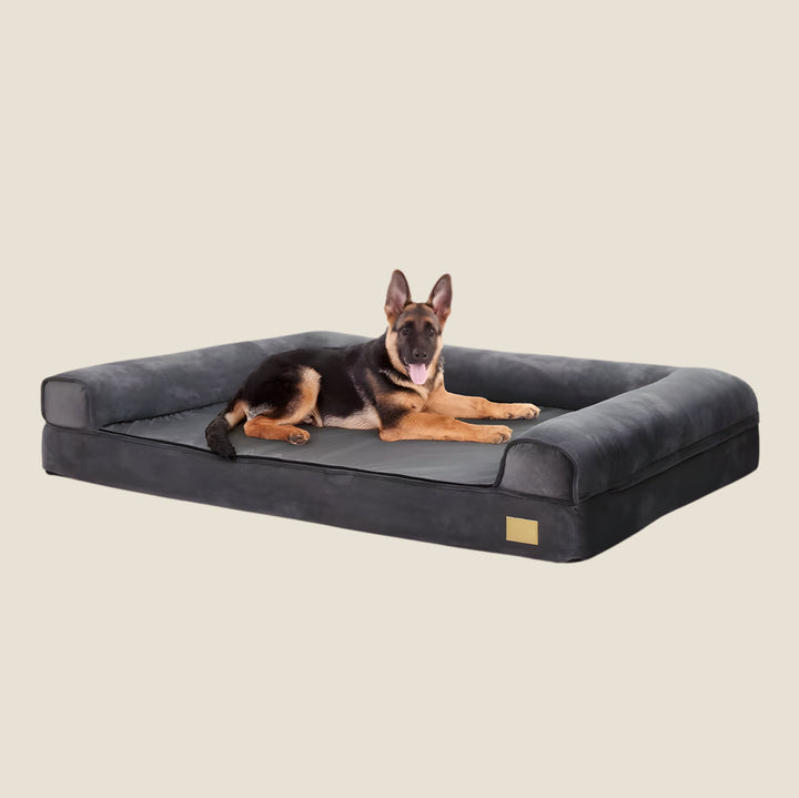 Bolster Orthopedic Dog Bed