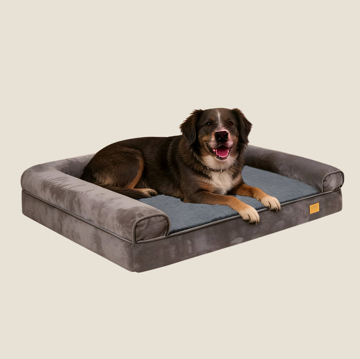Bolster Orthopedic Dog Bed