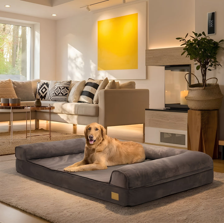 Bolster Orthopedic Dog Bed