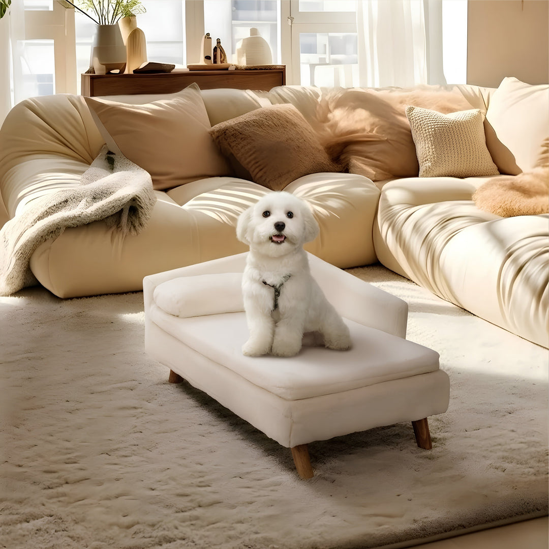 Elevated Nordic Dog Sofa