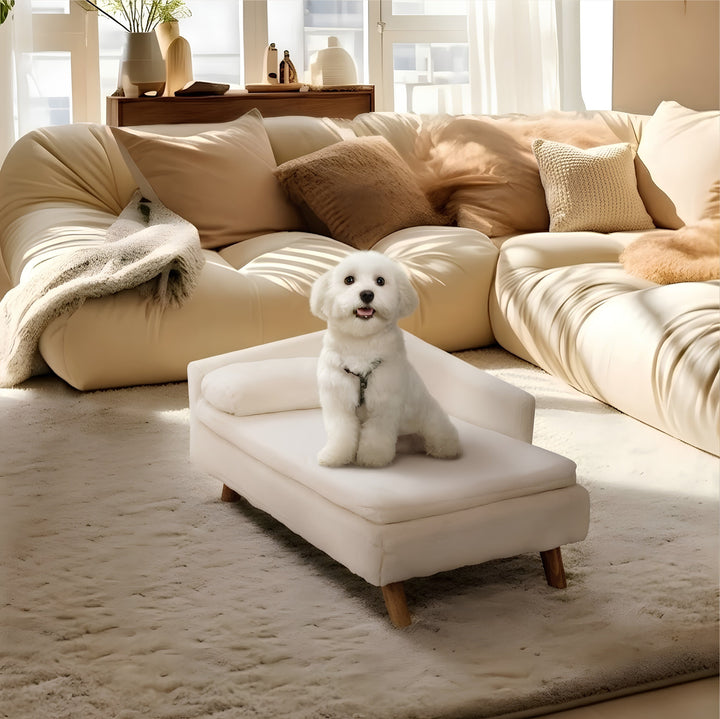 Elevated Nordic Dog Sofa