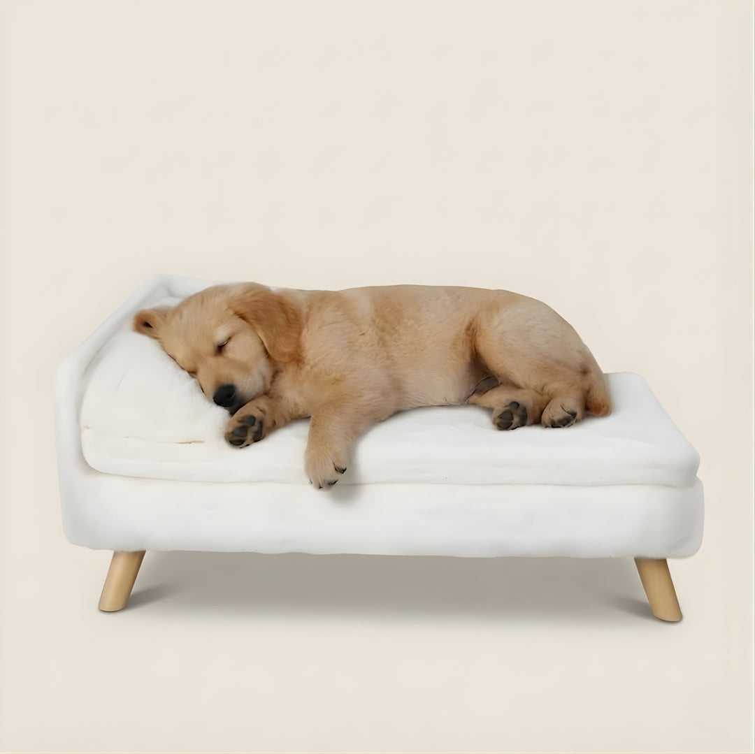 Elevated Nordic Dog Sofa