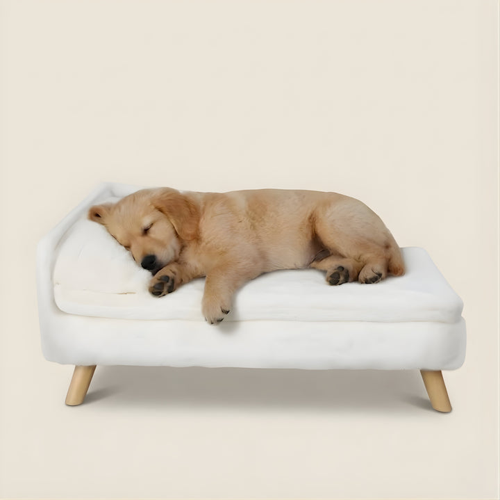 Elevated Nordic Dog Sofa