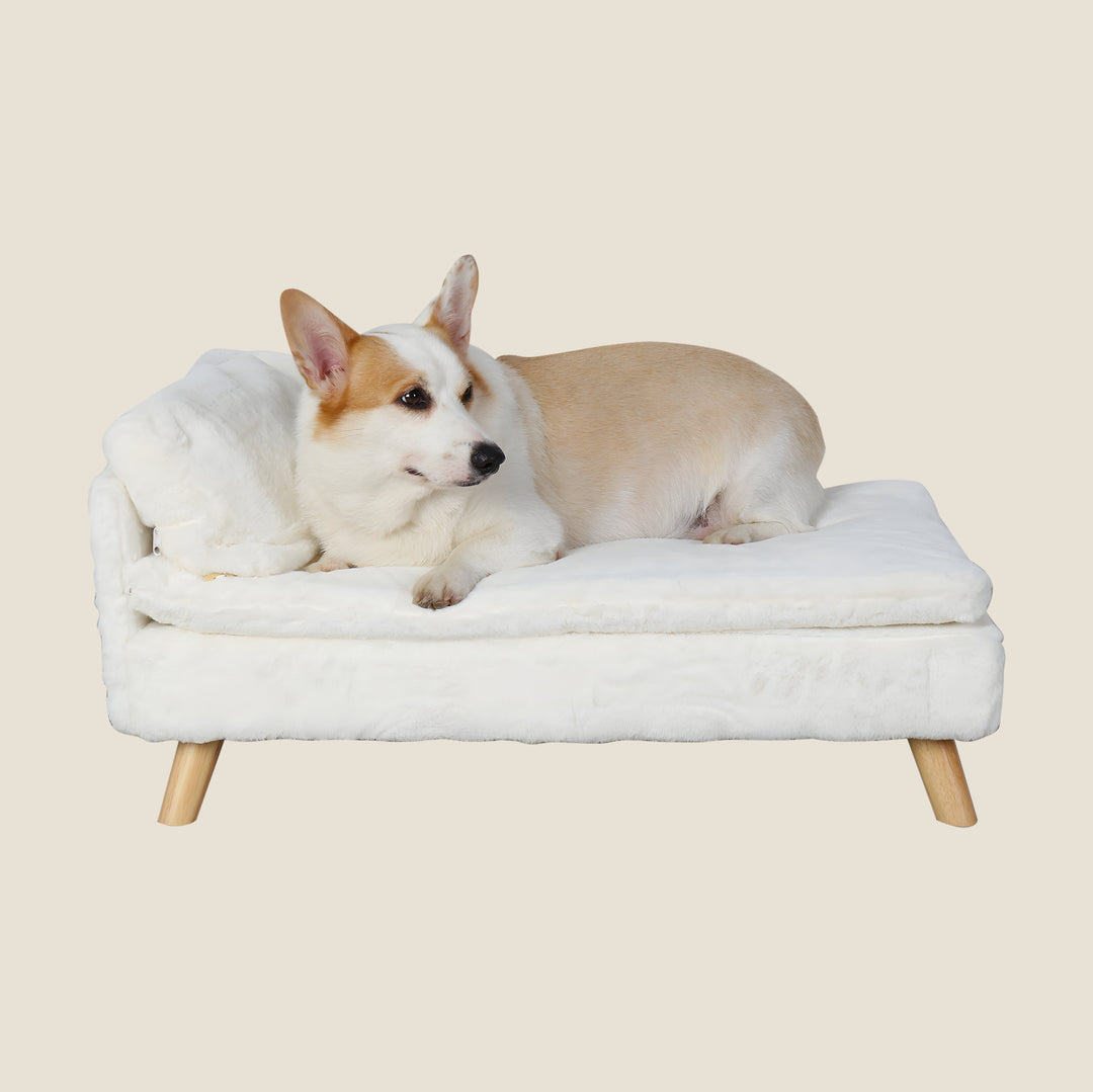 Elevated Nordic Dog Sofa