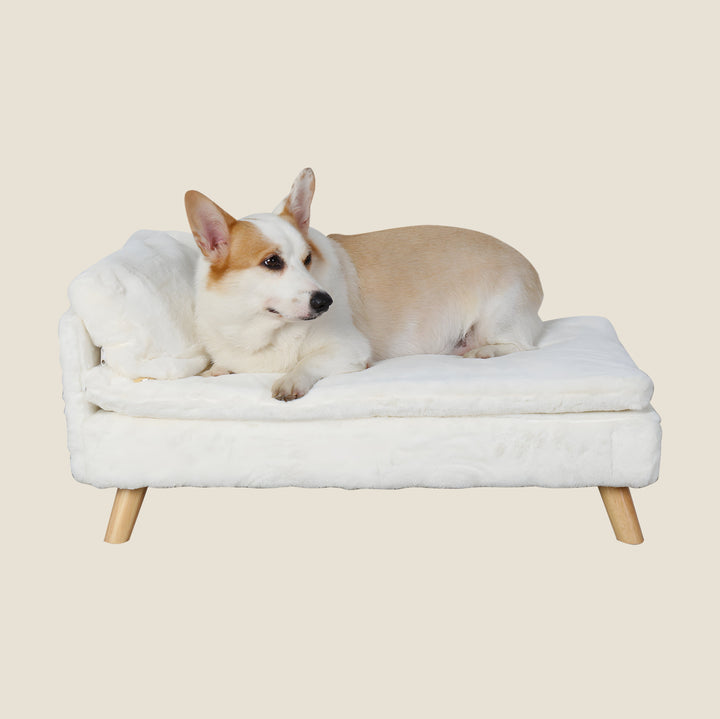Elevated Nordic Dog Sofa