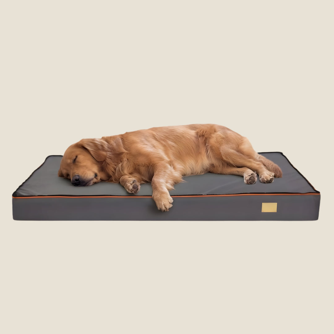 Flat Orthopedic Dog Bed