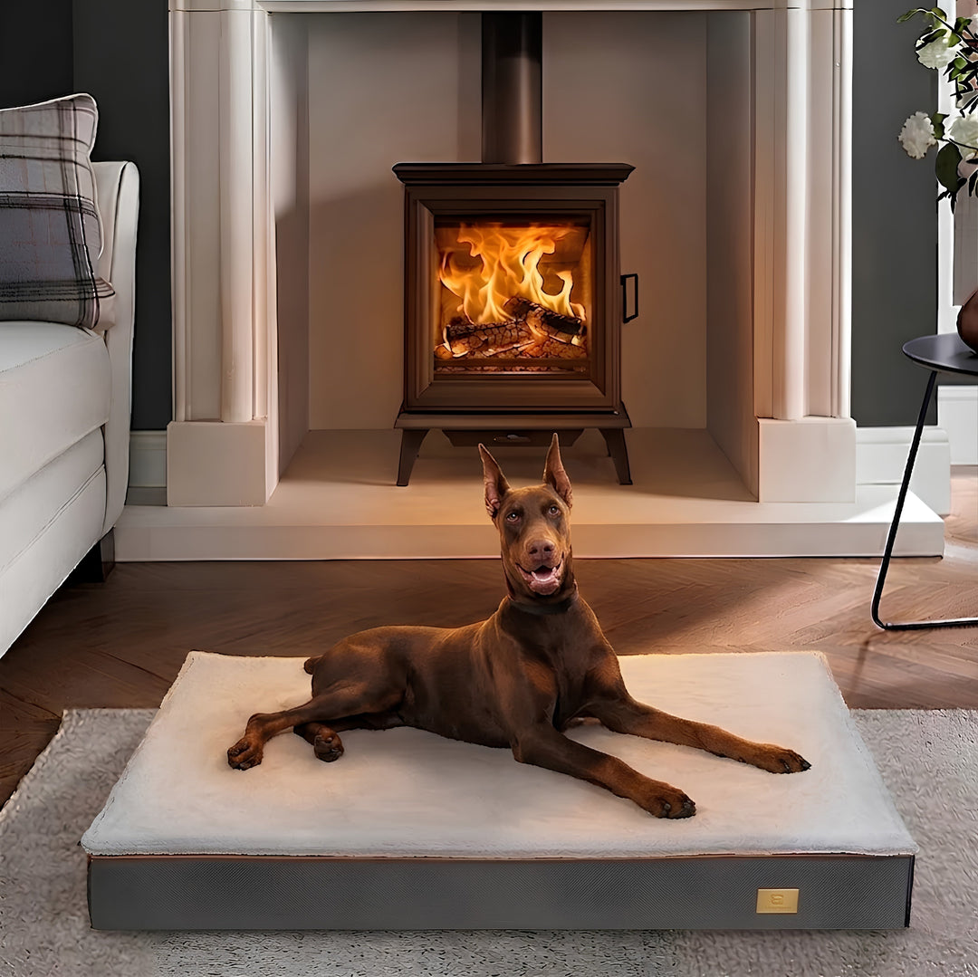 Flat Orthopedic Dog Bed