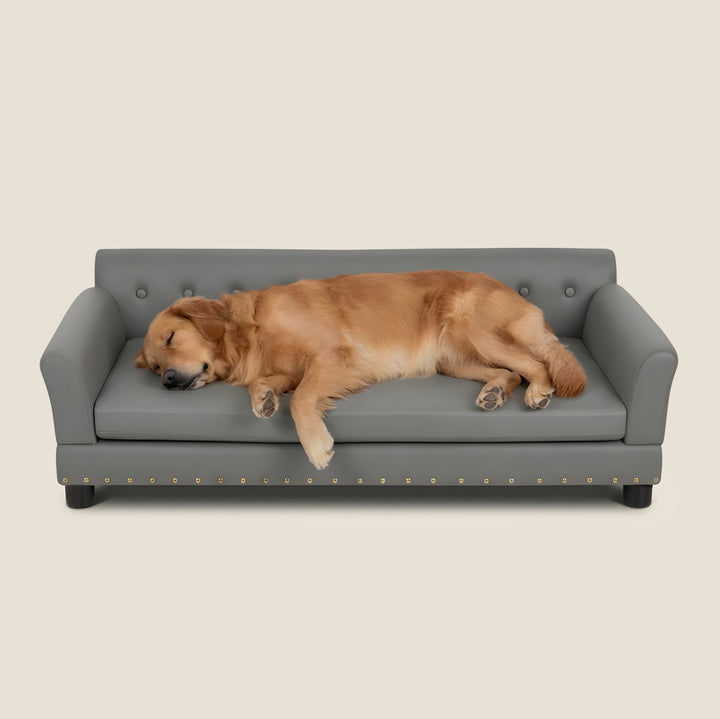 Heritage Dog Sofa - Ash