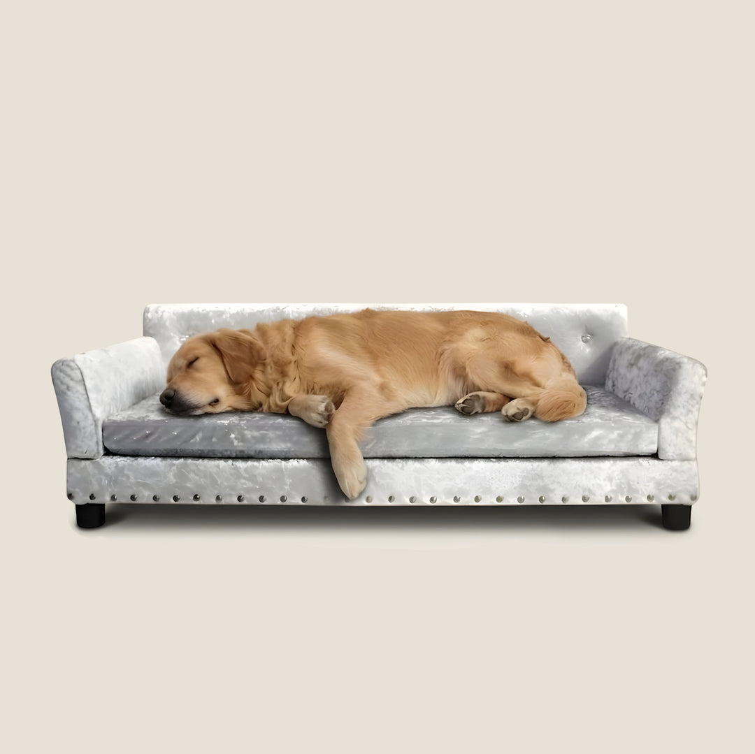 Heritage Dog Sofa - Slate
