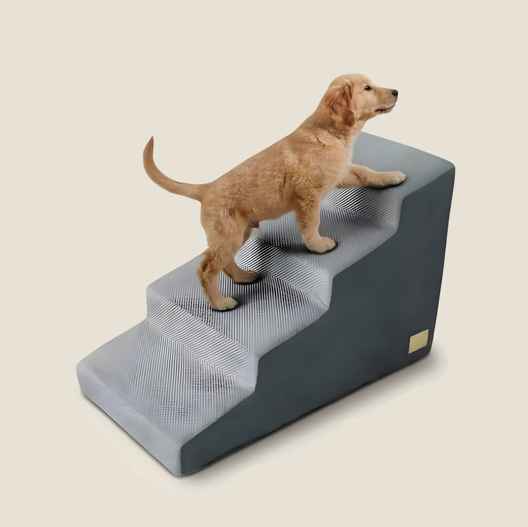 Orthopedic Dog Stairs