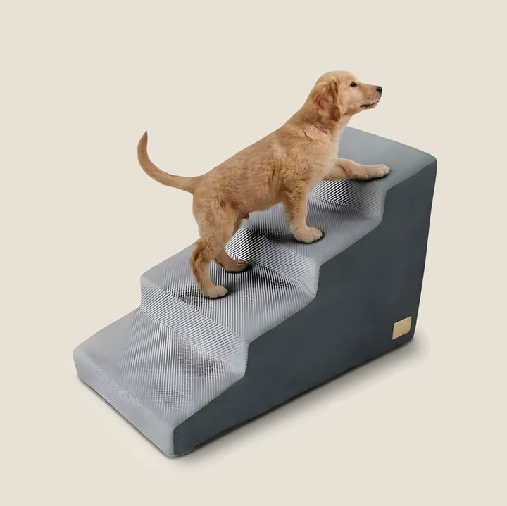 Orthopedic Dog Stairs