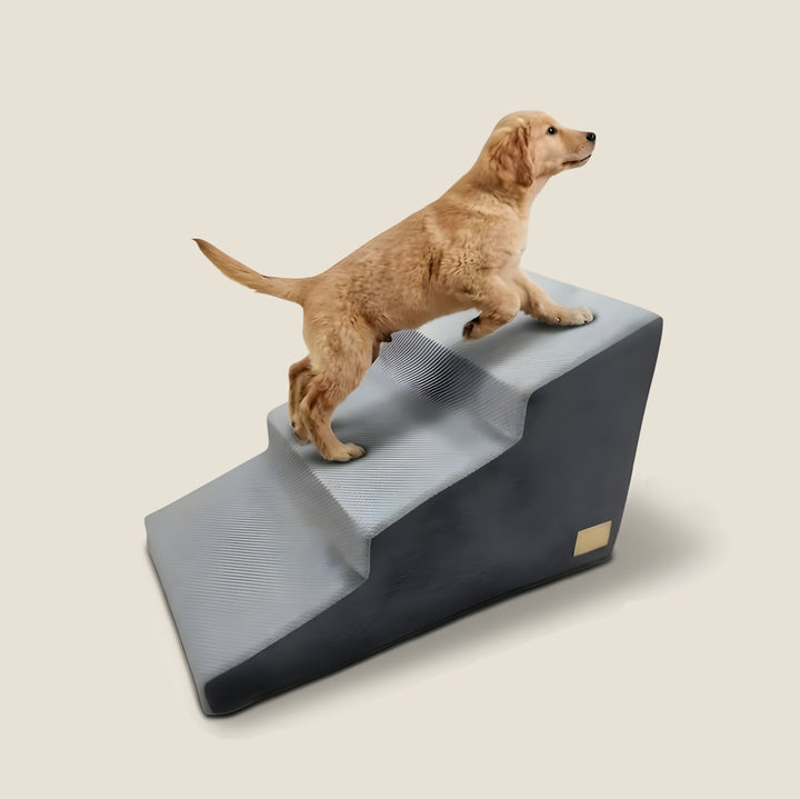 Orthopedic Dog Stairs