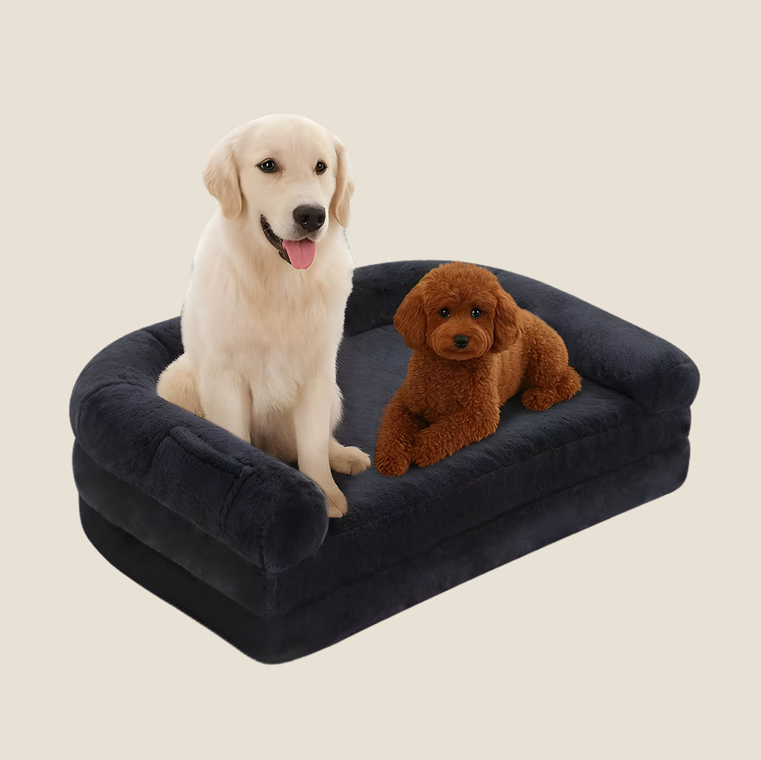 Orthopedic Human-Size Dog Bed - Navy