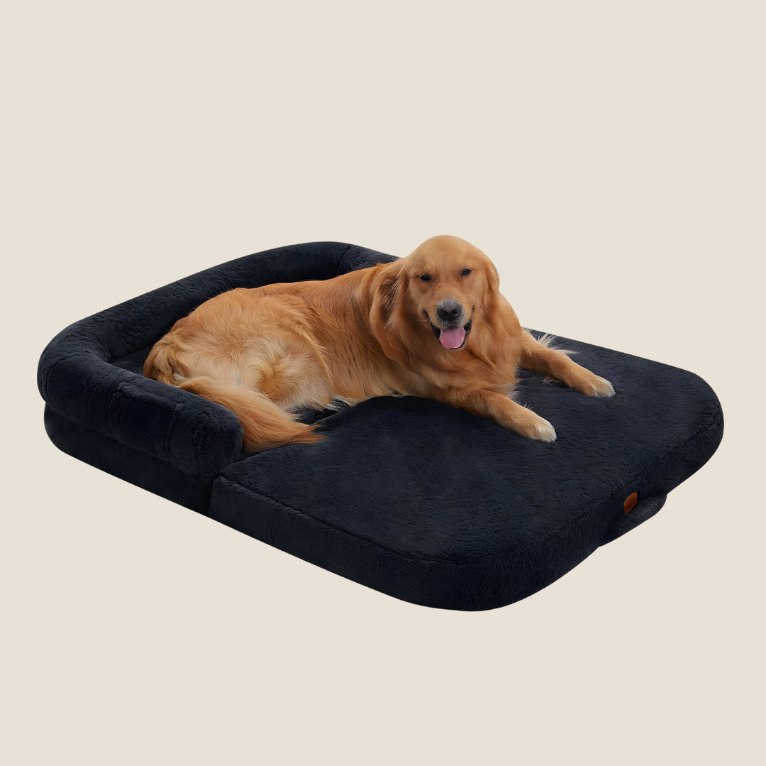 Orthopedic Human-Size Dog Bed - Navy