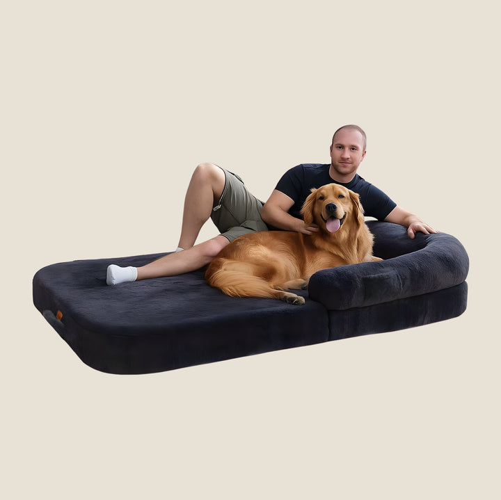 Orthopedic Human-Size Dog Bed - Navy