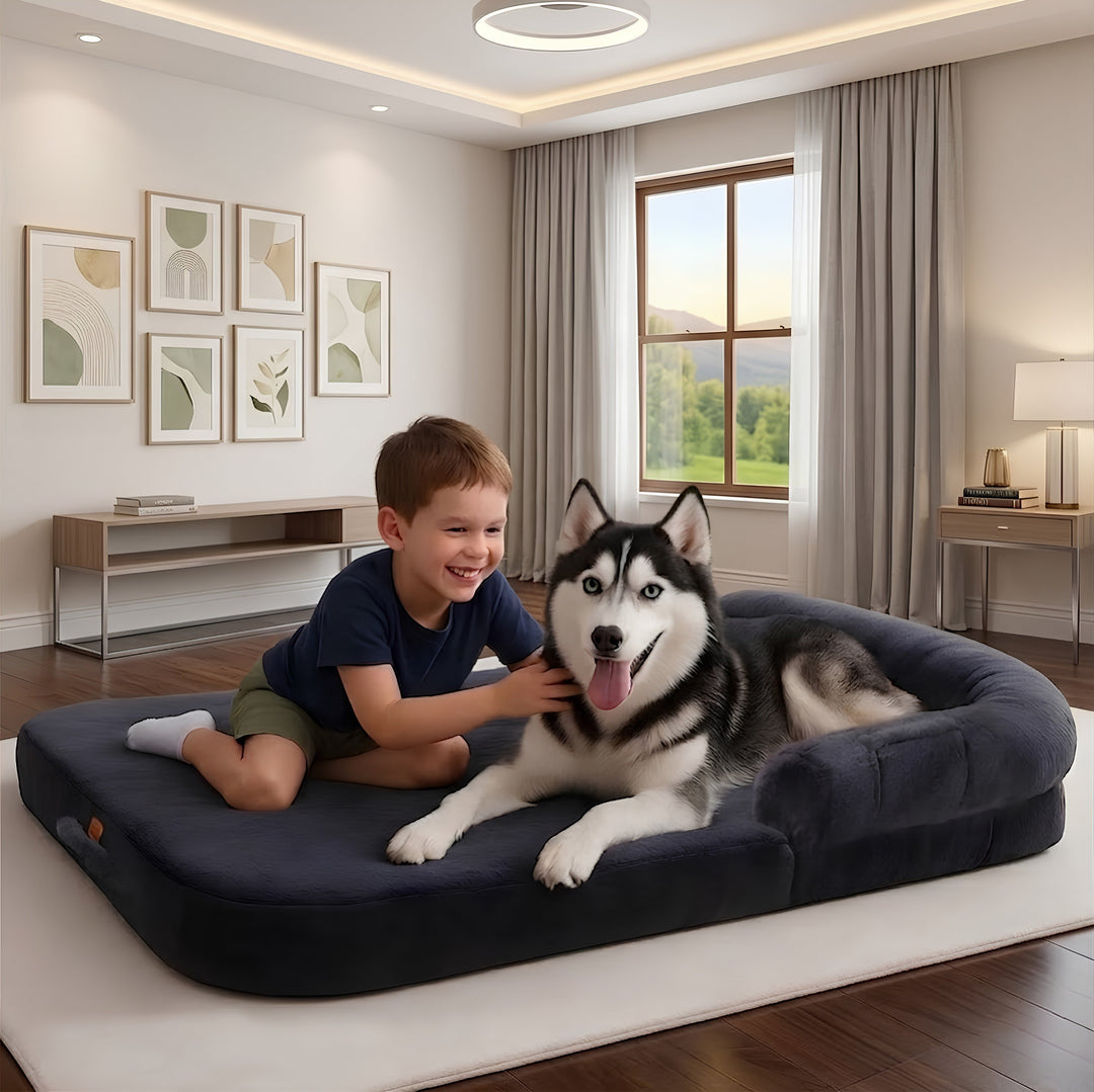 Orthopedic Human-Size Dog Bed - Navy