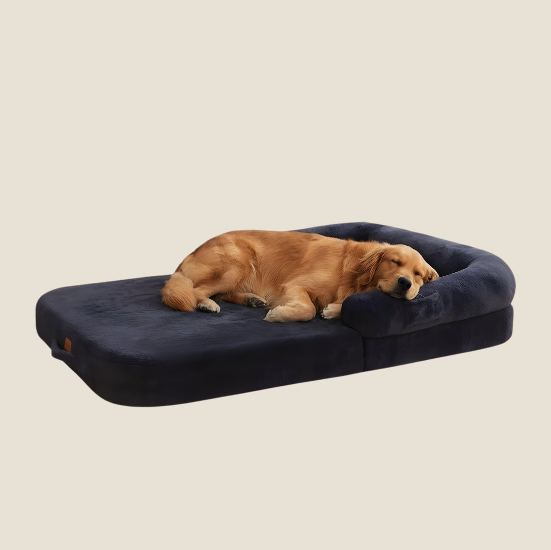 Orthopedic Human-Size Dog Bed - Navy