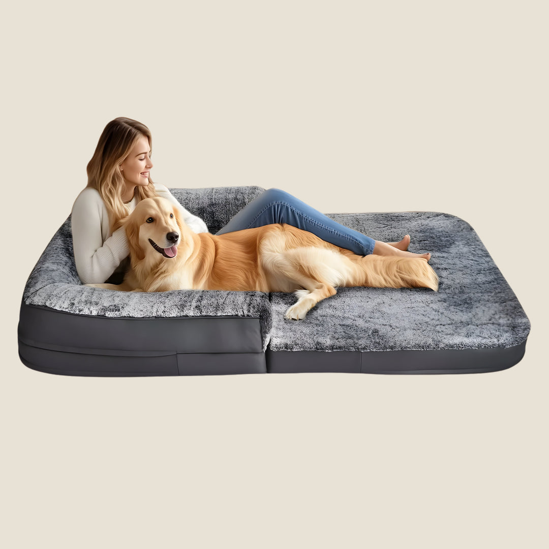 Orthopedic Human-Size Dog Bed - Stone Gray