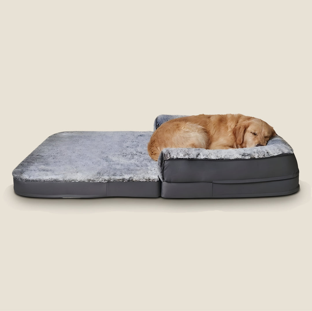 Orthopedic Human-Size Dog Bed - Stone Gray