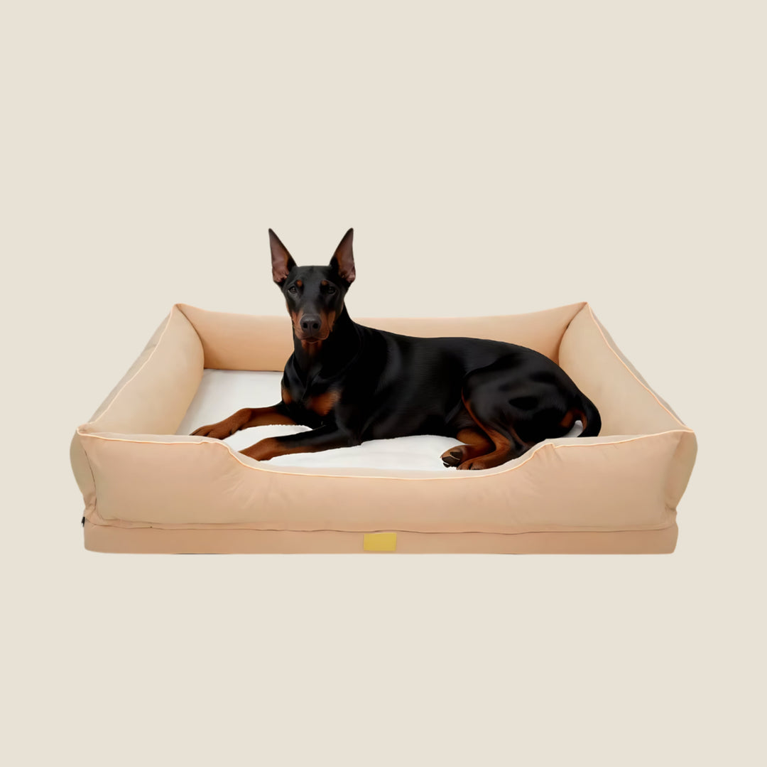 Oxford Orthopedic Bolster Dog Bed