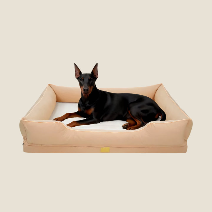 Oxford Orthopedic Bolster Dog Bed