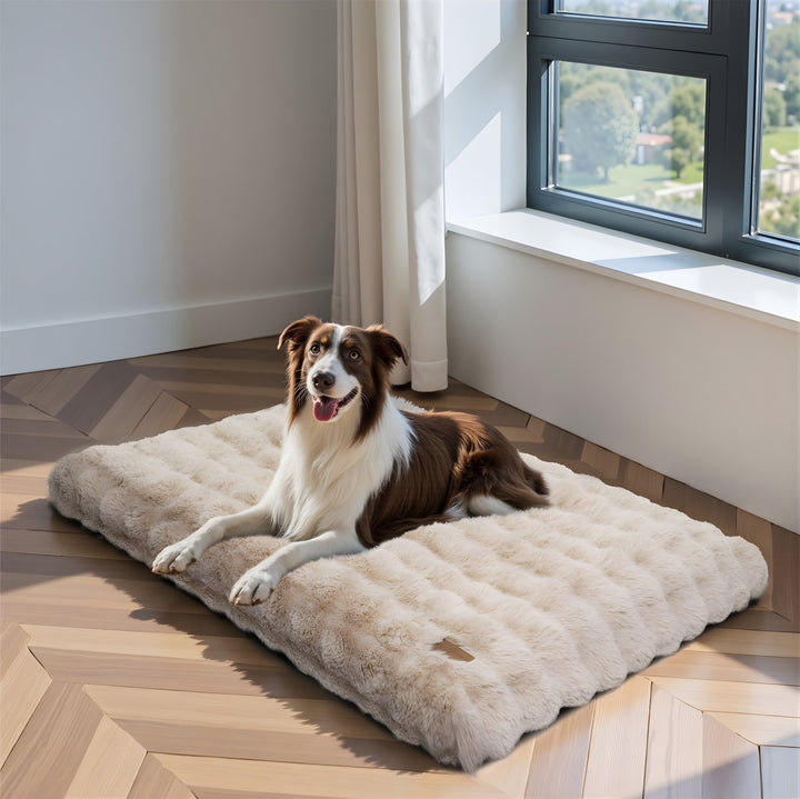 Plush Calming Dog Bed