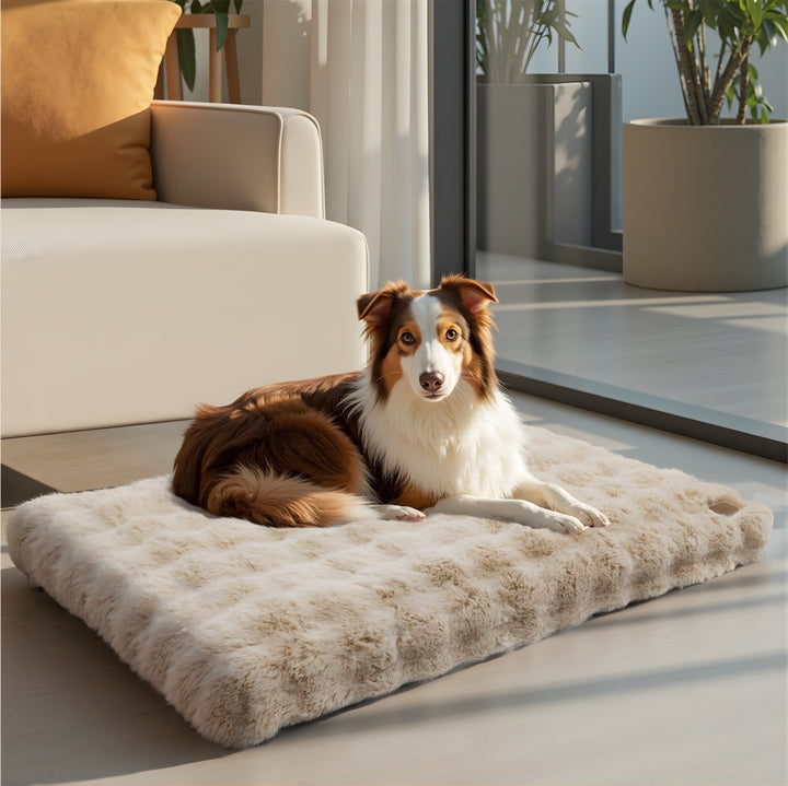 Plush Calming Dog Bed