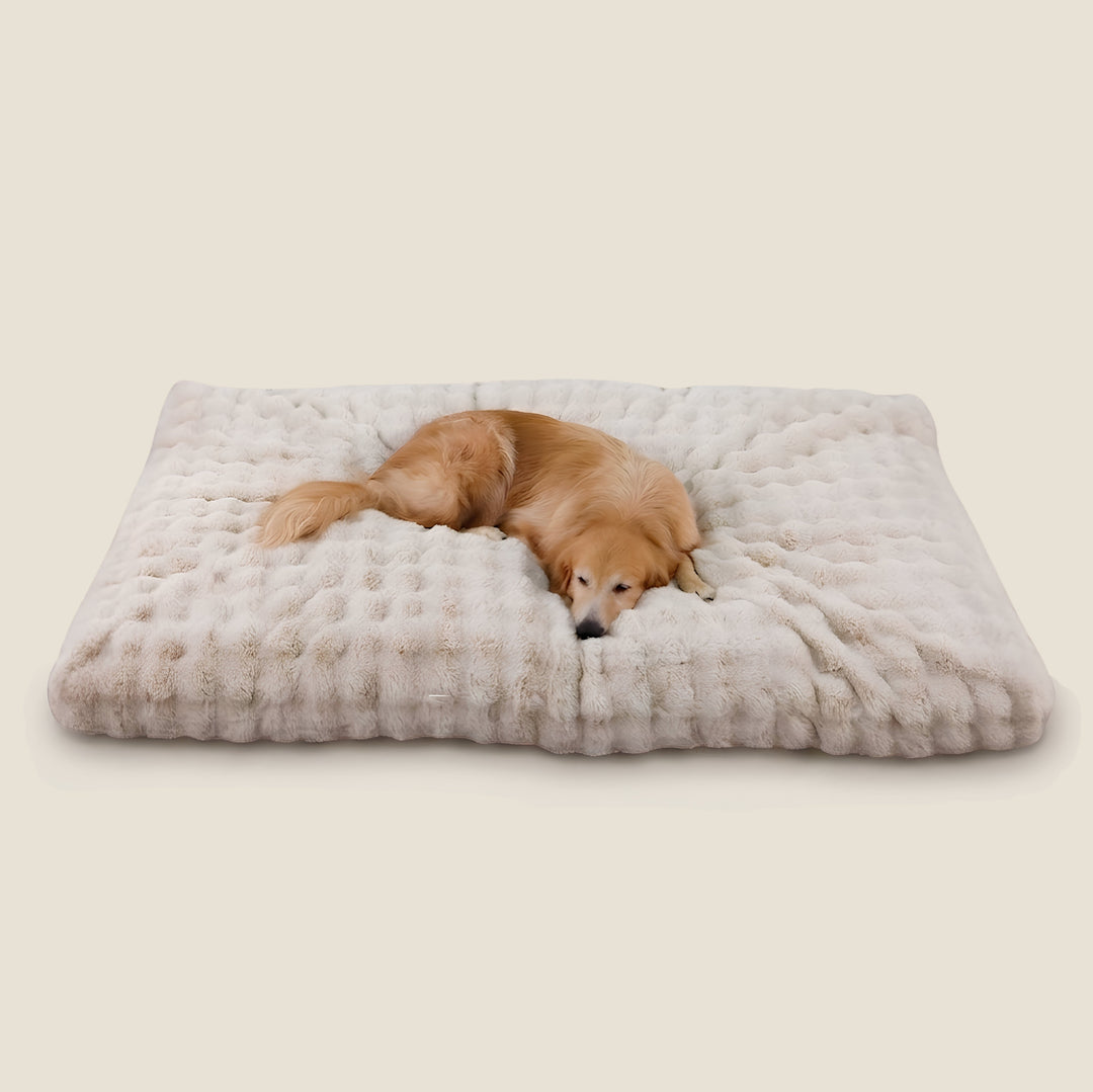 Plush Calming Dog Bed