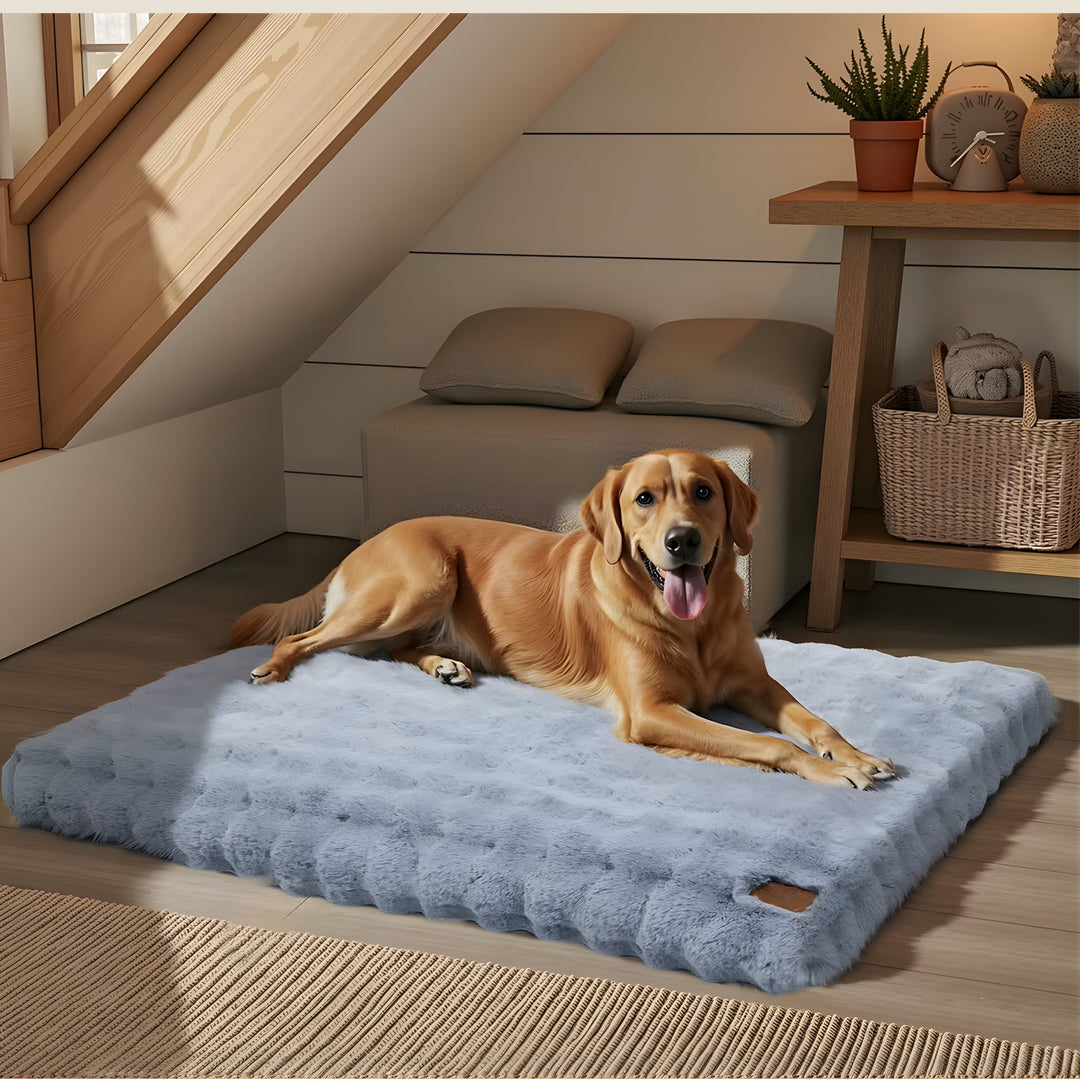 Plush Calming Dog Bed