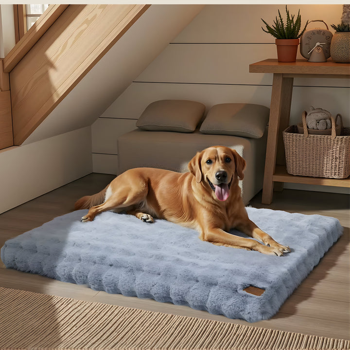 Plush Calming Dog Bed