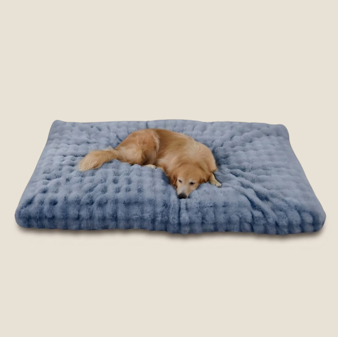 Plush Calming Dog Bed