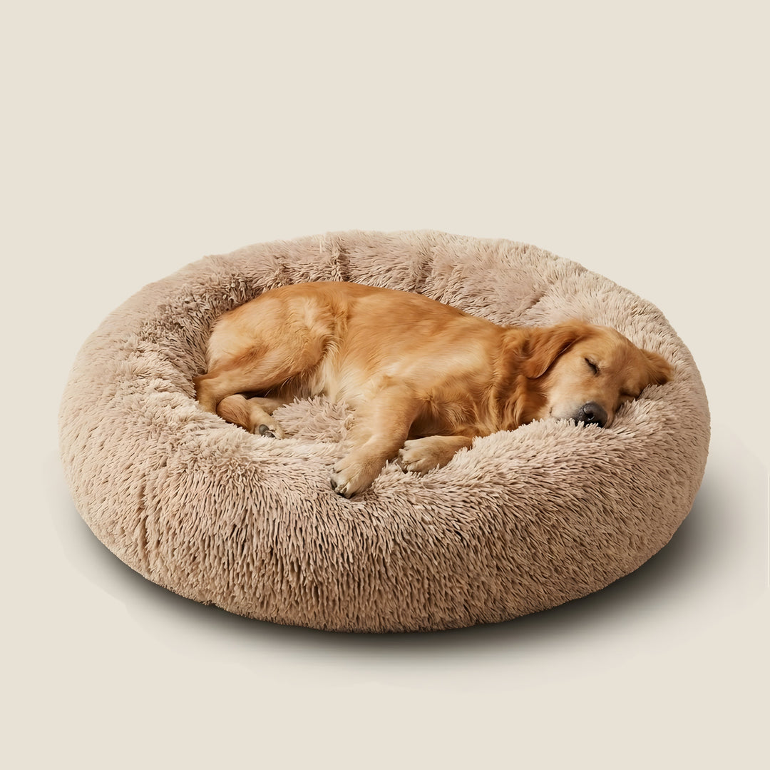 Plush Calming Donut Dog Bed