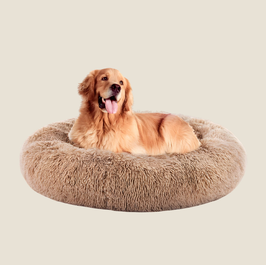 Plush Calming Donut Dog Bed