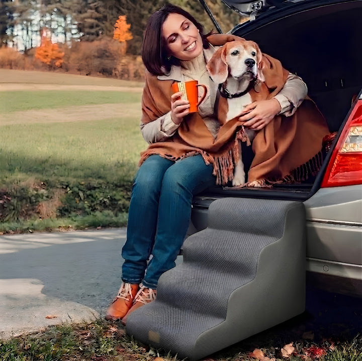 Rounded Orthopedic Dog Stairs
