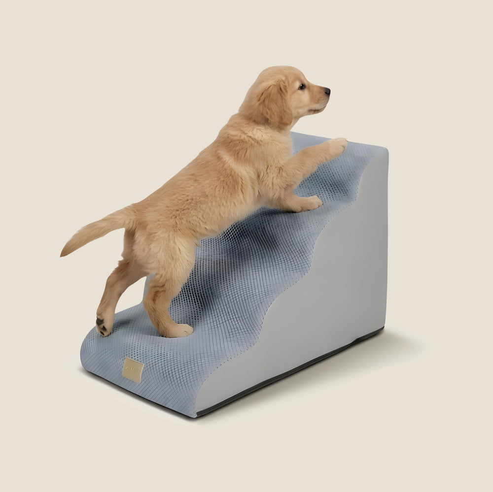 Rounded Orthopedic Dog Stairs