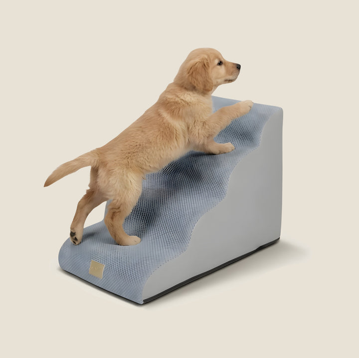 Rounded Orthopedic Dog Stairs