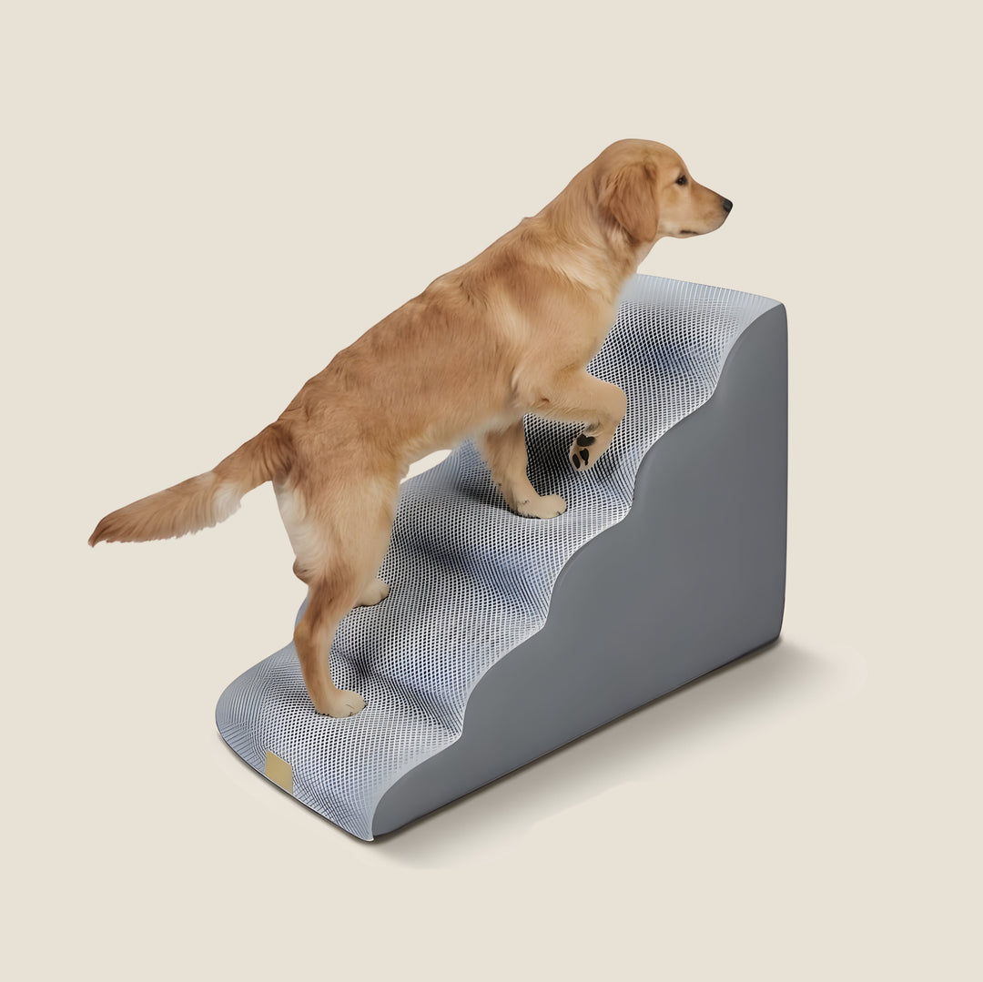 Rounded Orthopedic Dog Stairs